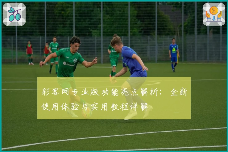 彩客网专业版功能亮点解析：全新使用体验与实用教程详解