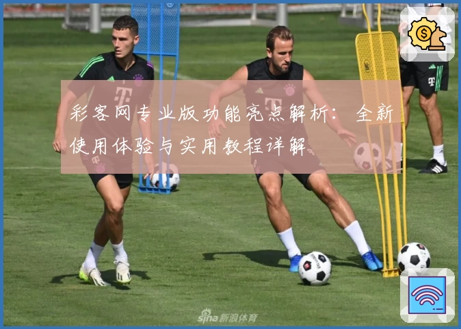 彩客网专业版功能亮点解析：全新使用体验与实用教程详解
