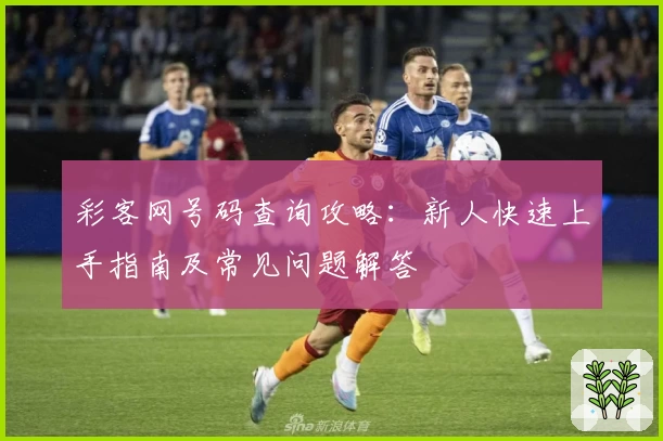 彩客网号码查询攻略：新人快速上手指南及常见问题解答
