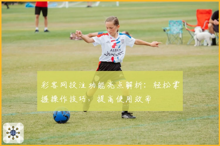 彩客网投注功能亮点解析：轻松掌握操作技巧，提高使用效率