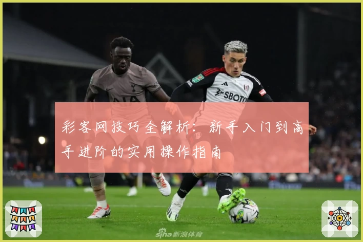彩客网技巧全解析：新手入门到高手进阶的实用操作指南